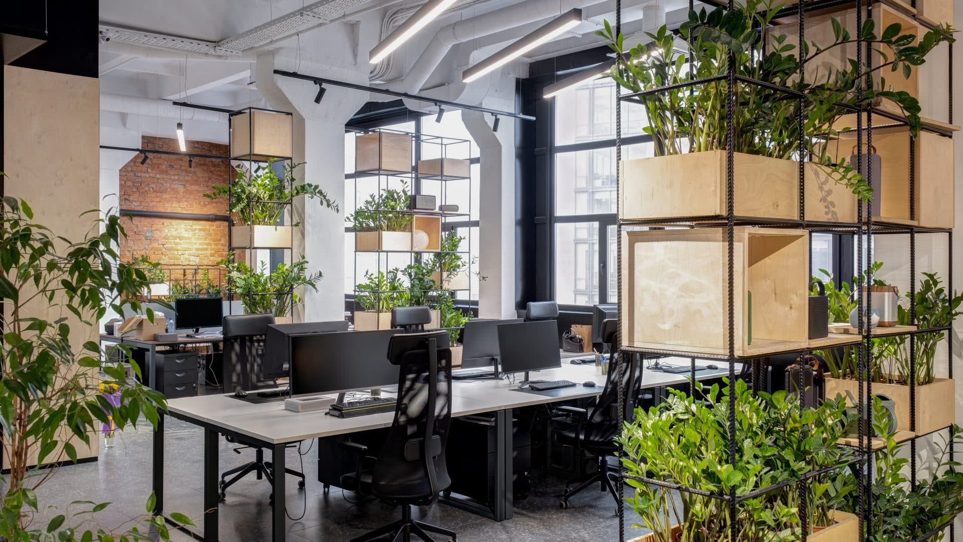 Ledxon office